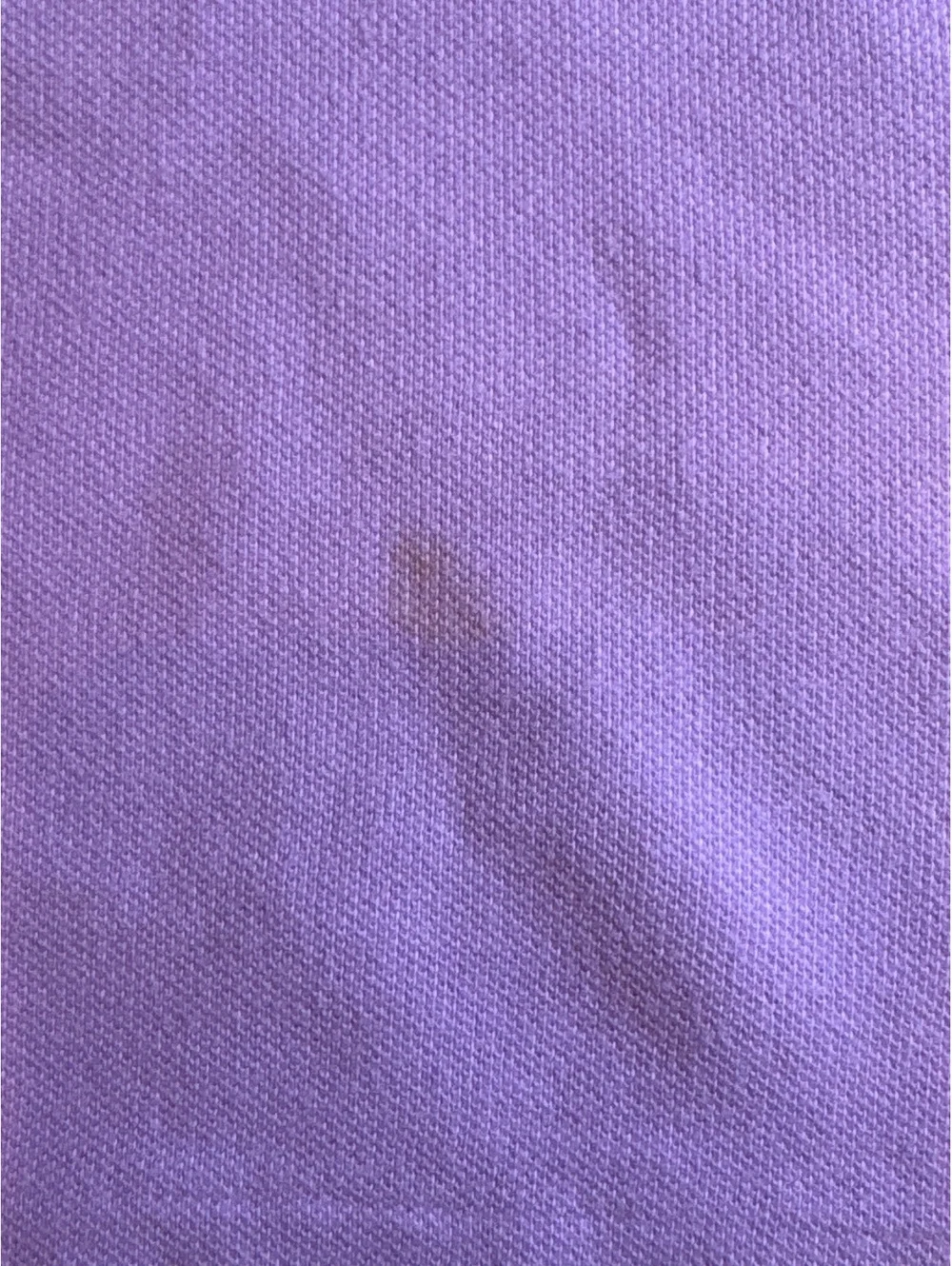 Polo Ralph Lauren Boys Lavender Polo Shirt 12 Months